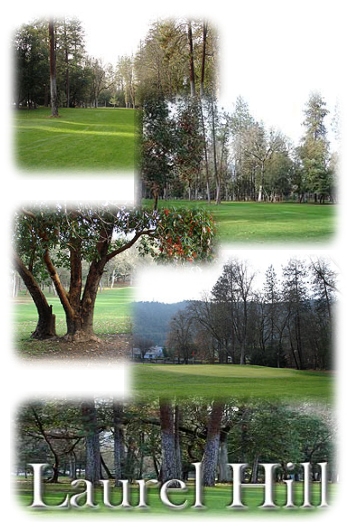 laurel hill golf course in Gold Hill Oregon